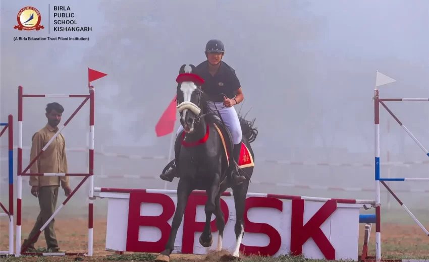 Captivating Equestrian Show that reflected discipline, confidence, and harmony between rider and horse.